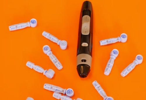 스테비아 방울토마토