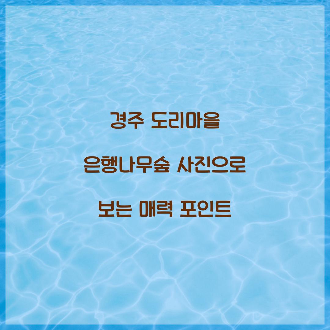 경주 도리마을 은행나무숲