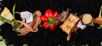 음식물처리기 지원금