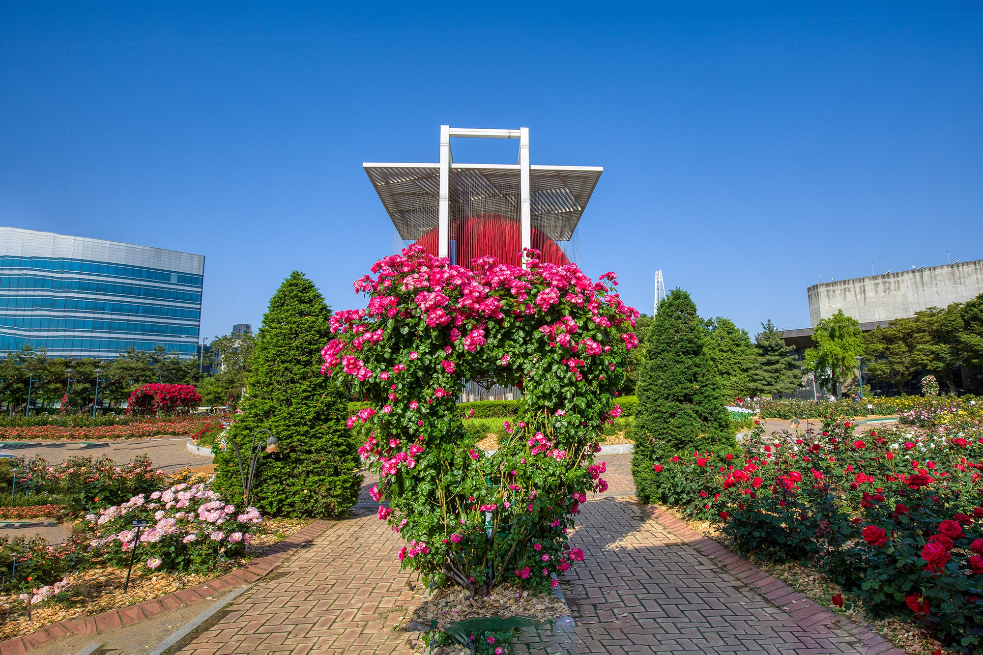 올림픽공원 장미축제 - 7