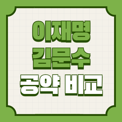 이재명 김문수 후보 공약