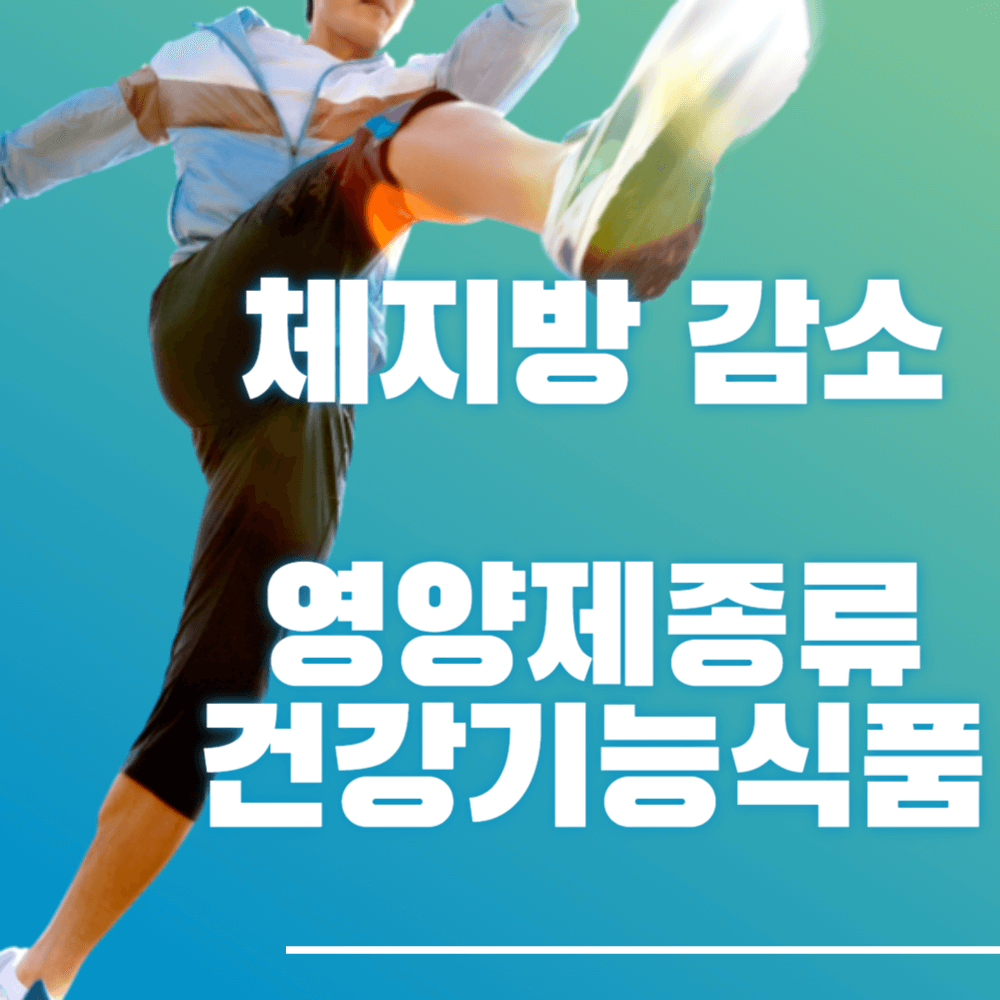 체지방 감소 영양제종류, 건강기능식품
