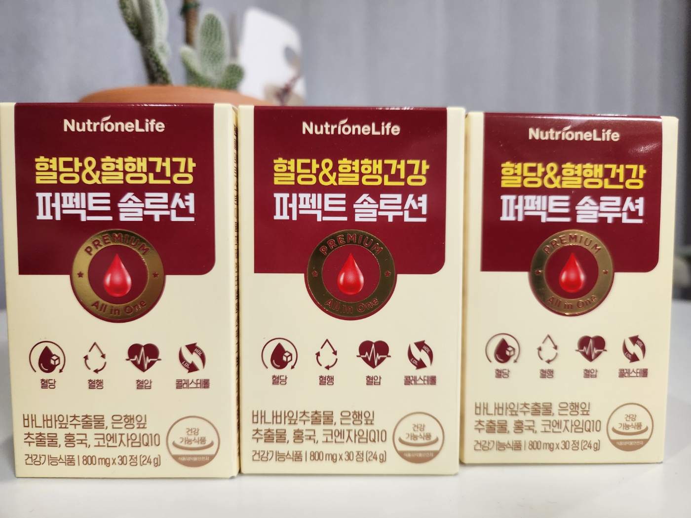 혈당, 혈액순환 영양제 뉴트리원 퍼펙트 솔루션