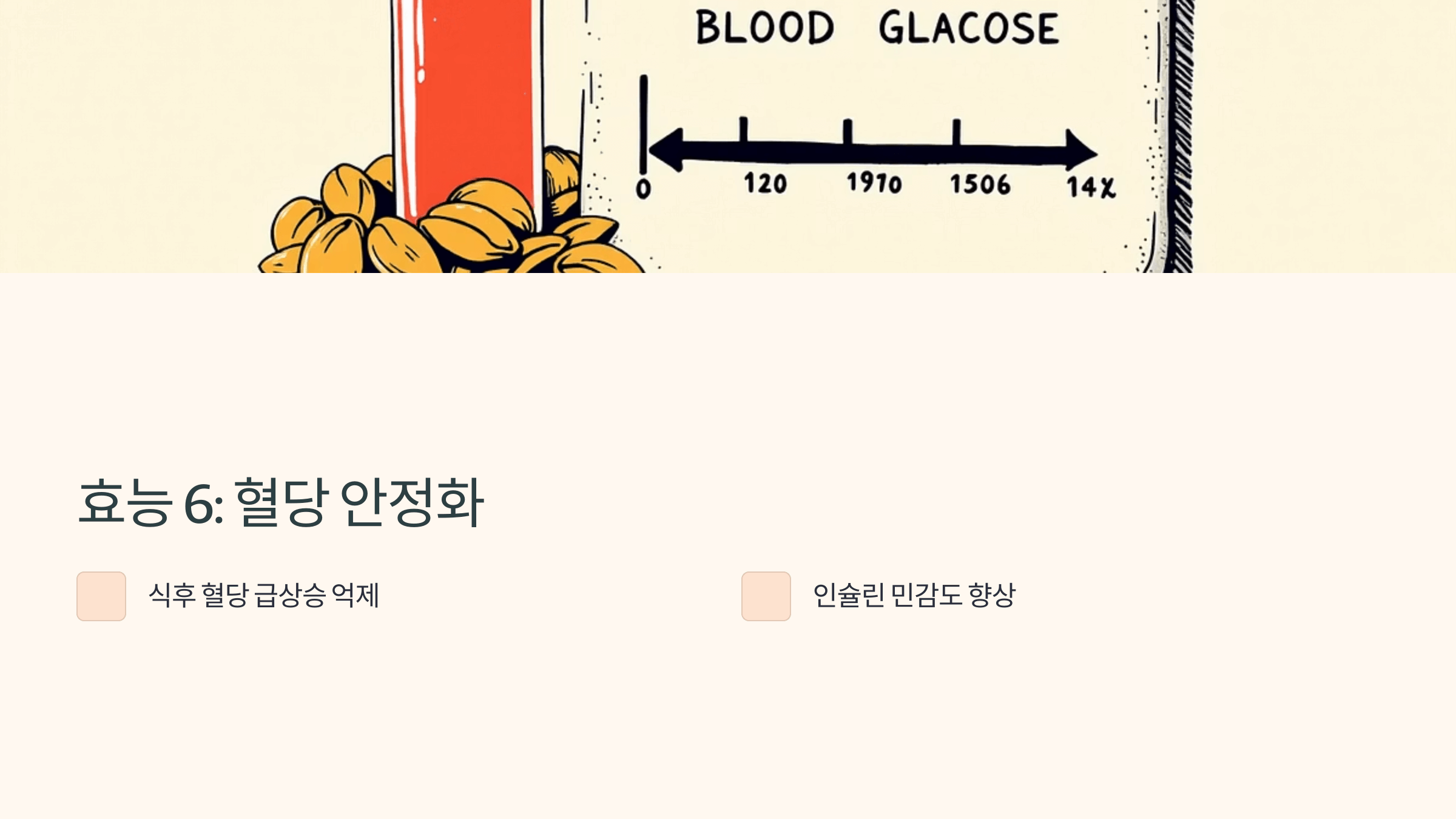 호박씨 사진입니다.