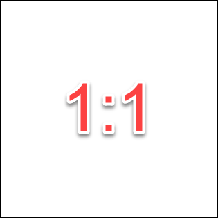 1:1 캡처