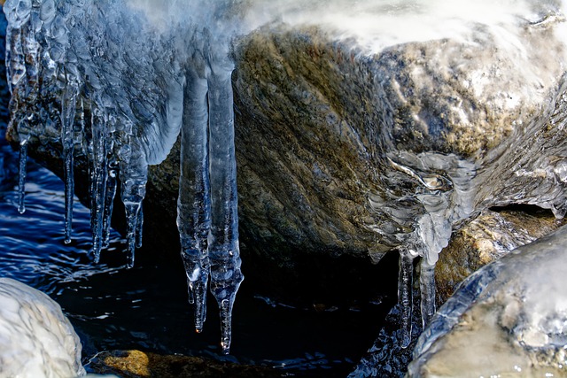 독감예방접종 무료대상날짜