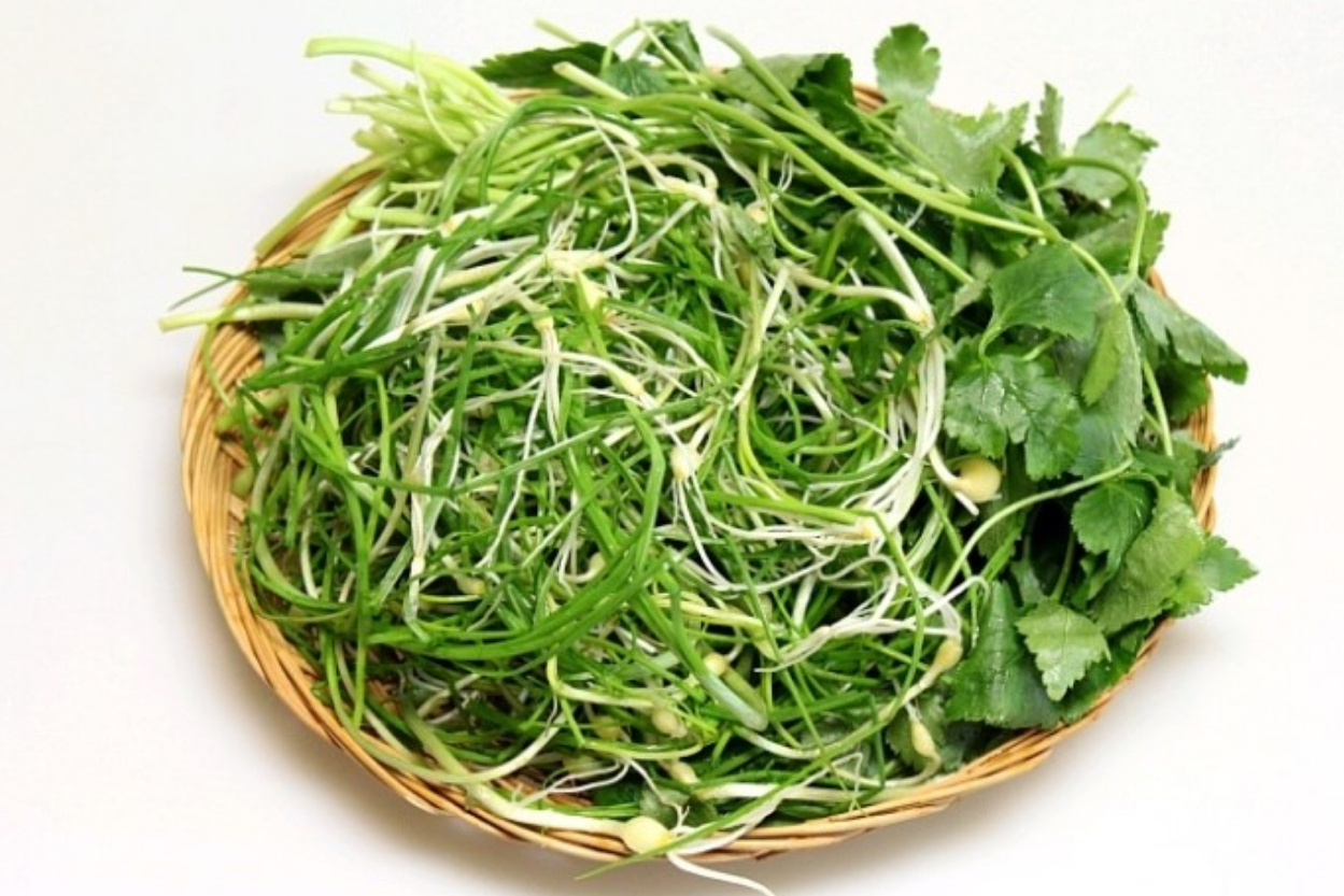 봄철 장 건강 지키는 음식 봄나물