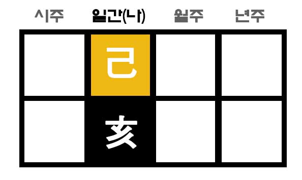 기해일주 사주 구성