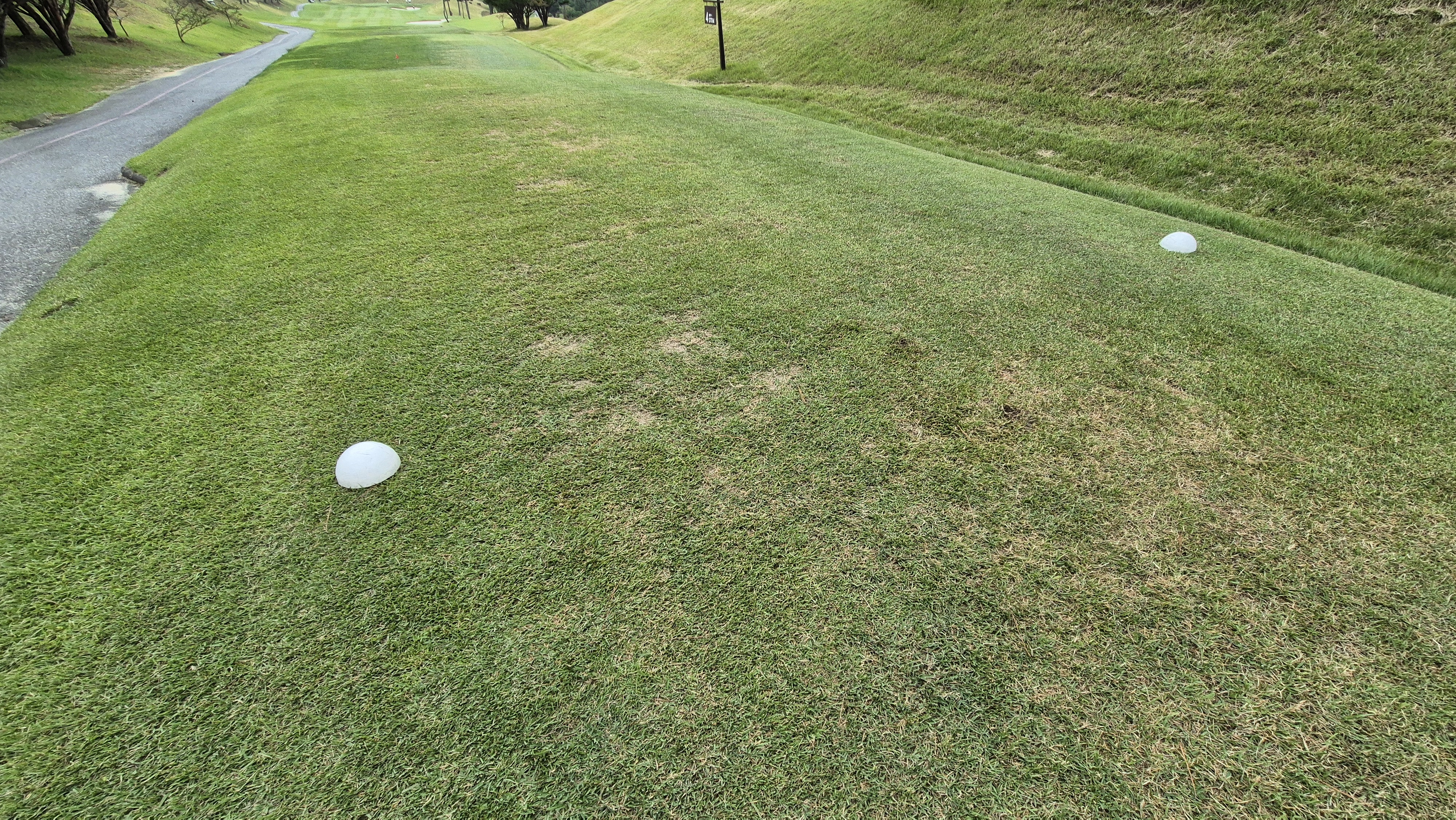 서산수cc 티잉구역 상태