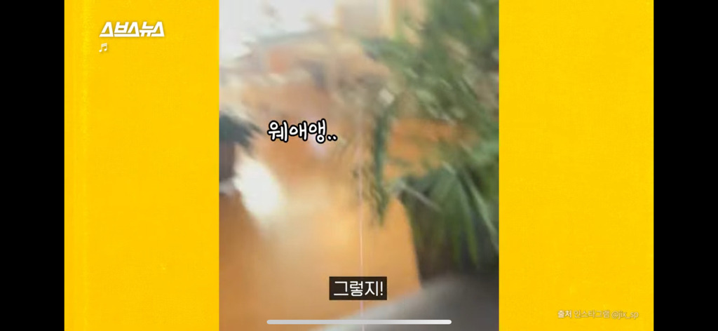 이지섭 말벌 조련