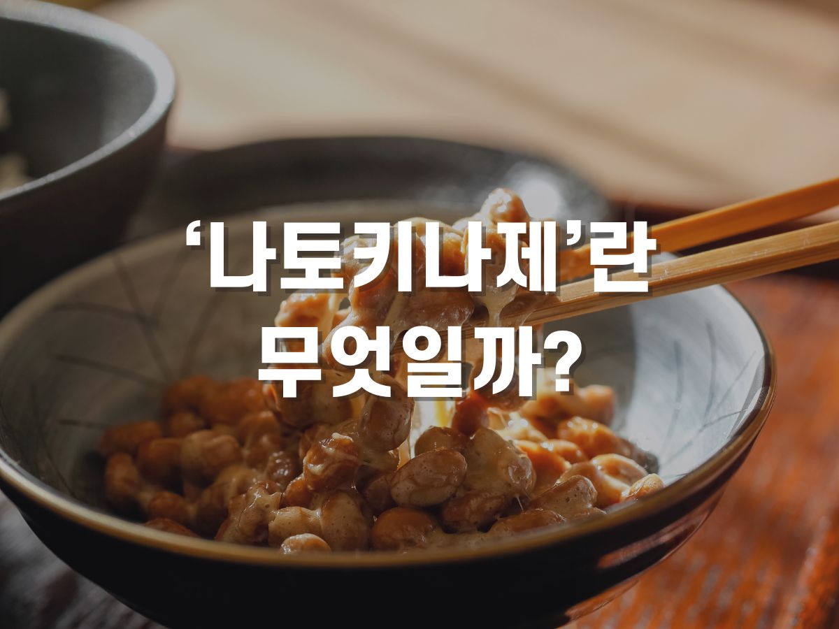 낫토키나제란