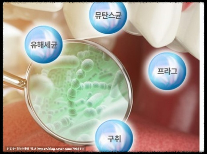 당뇨환자의 치아관리: 꼭 알아야 할 필수 지침