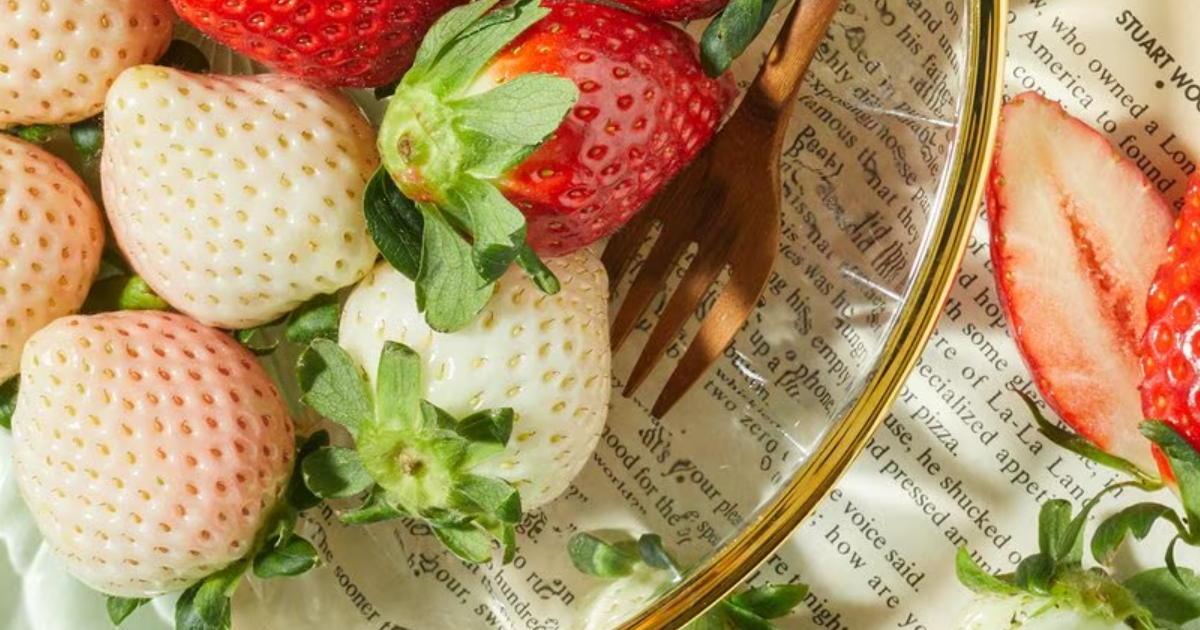 금실딸기 & 설희딸기 예약