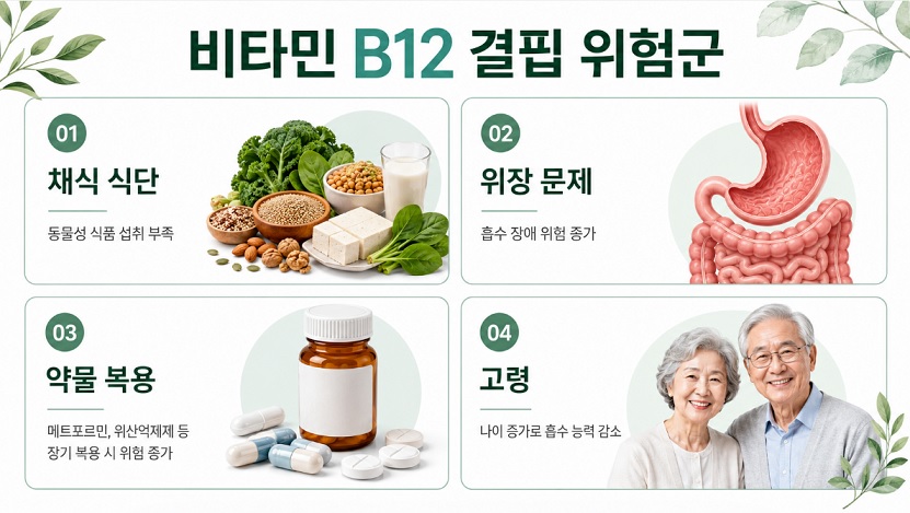 채식 식단과 위장 질환, 약물 복용, 고령 등 비타민 B12 결핍 위험 요인을 나타낸 인포그래픽