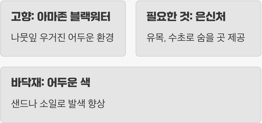 실수 3. 너무 밝고 휑한 어항 환경