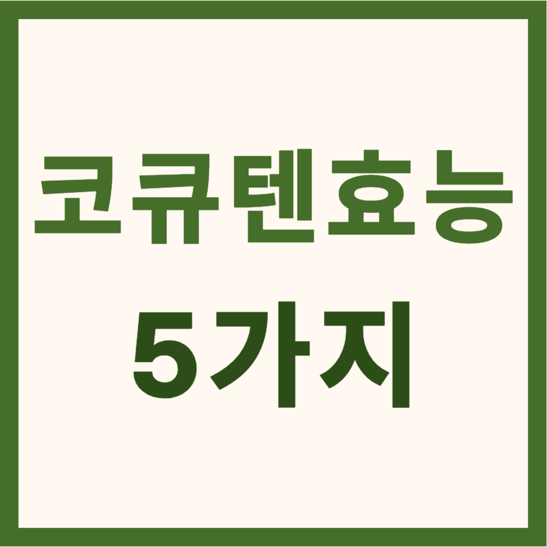 코큐텐 대표 효능