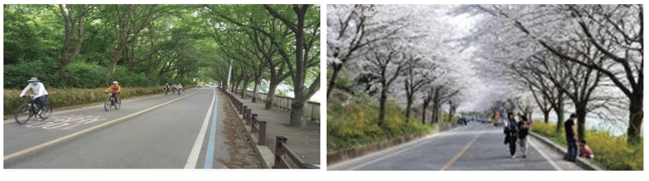 구례 섬진강 자전거길