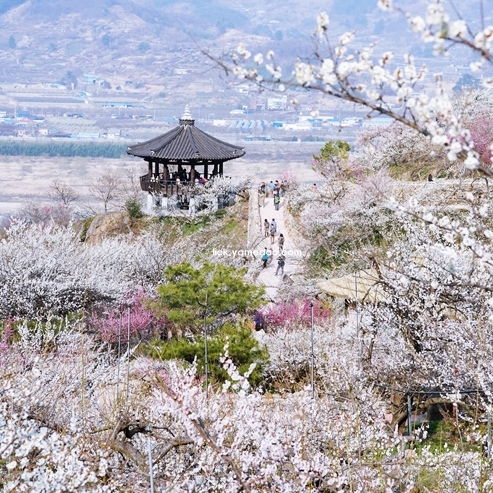 광양 가볼만한곳 베스트10