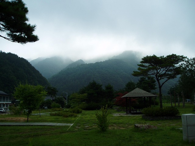 강원도 삼척 정월대보름제