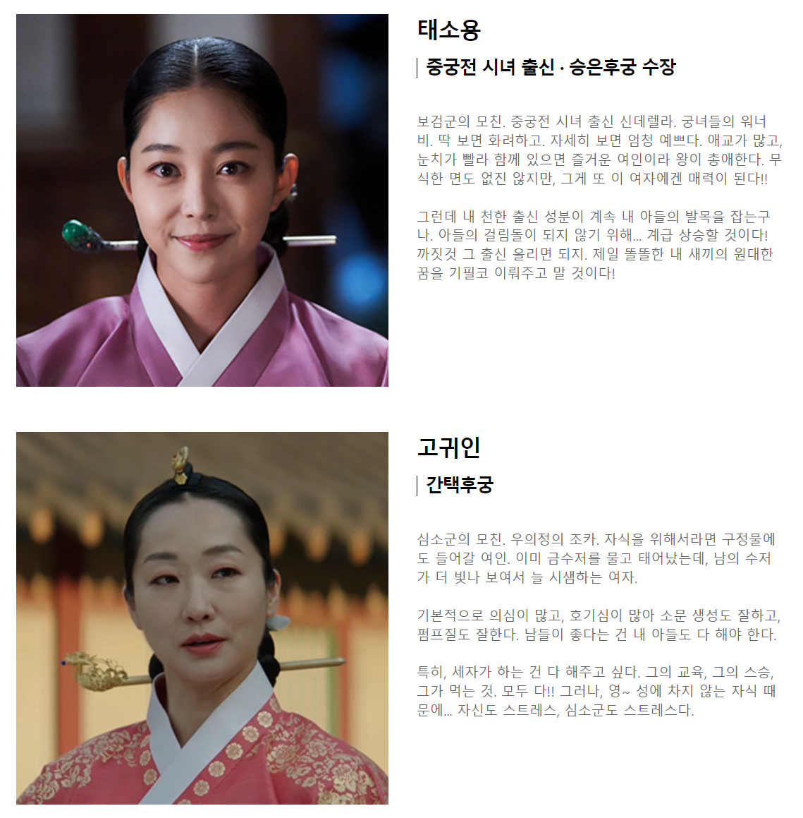 슈룹 드라마 등장인물 인물관계도 총정리