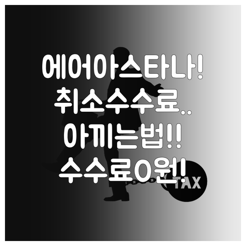 에어 아스타나 항공권 취소, 수수료 ..