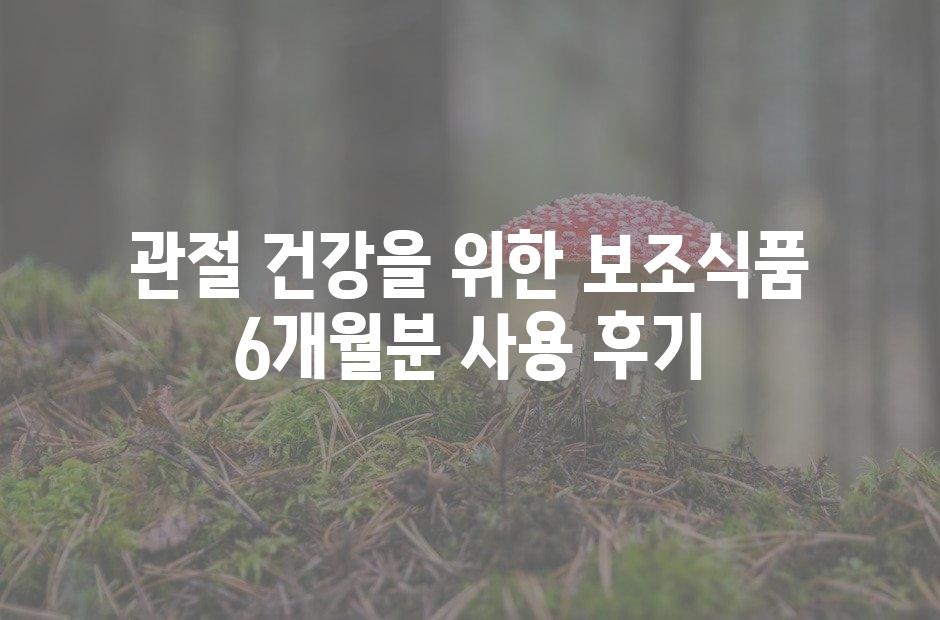 샘플 (42)