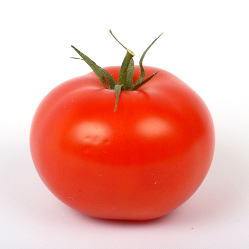 스테비아 토마토