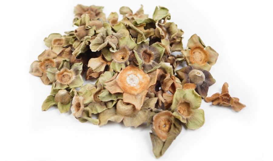 야생에서 채취를 한 감의 꼭지를 따로 모아서 하얀 바닥 위에 수북하게 놓아두고 찍은 사진