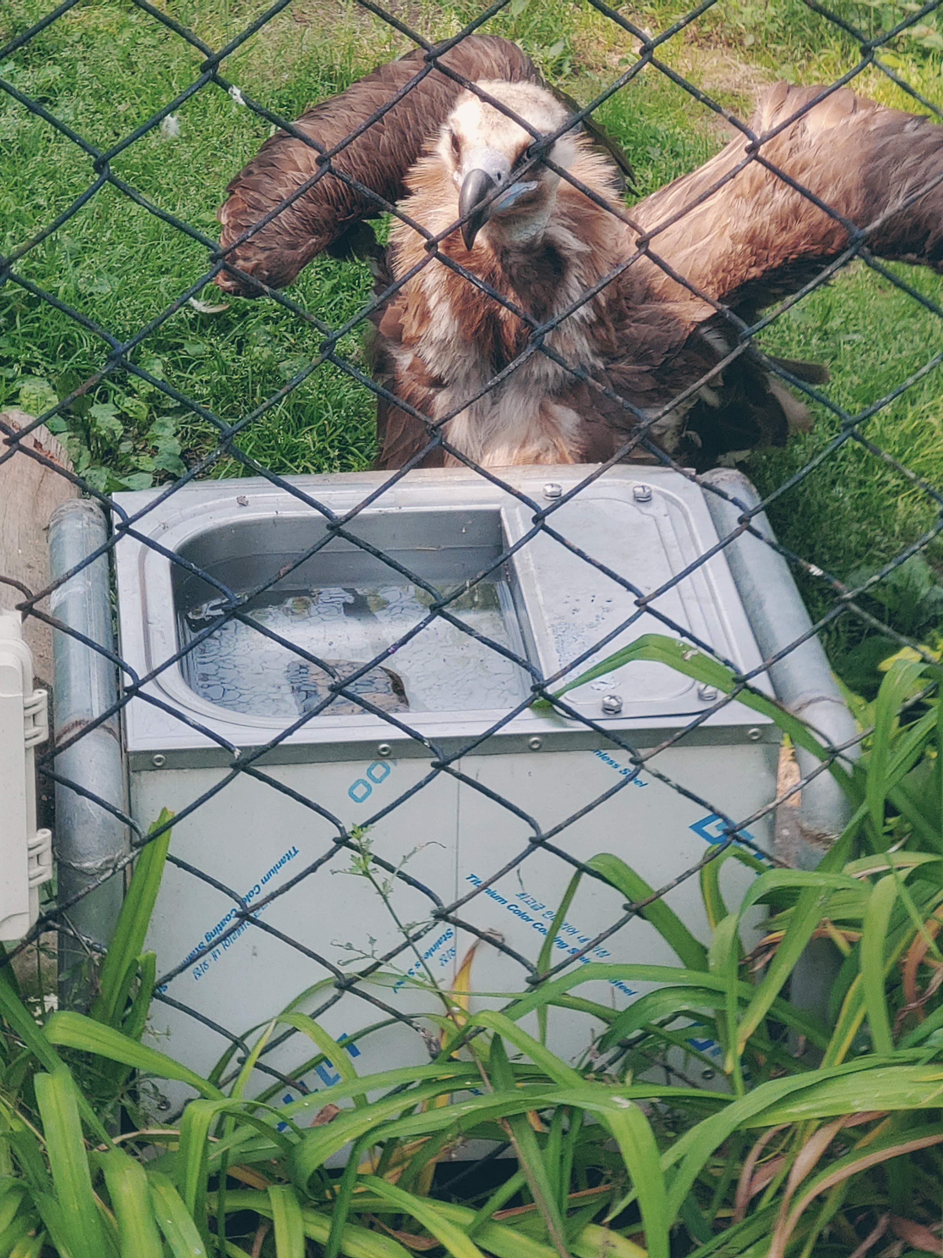 전주동물원 예약