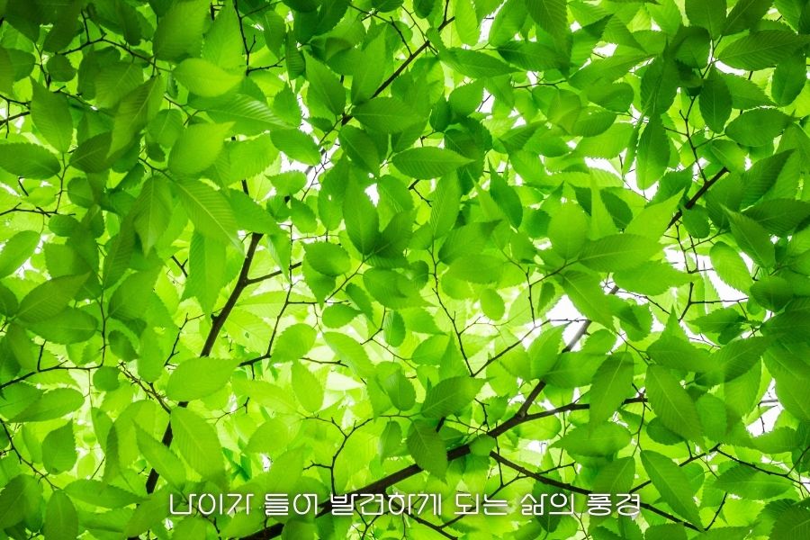 나이가 들어 반결하게 되는 삶의 풍경