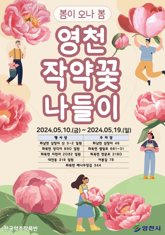 경북 영천 작약꽃 축제 완벽 가이드