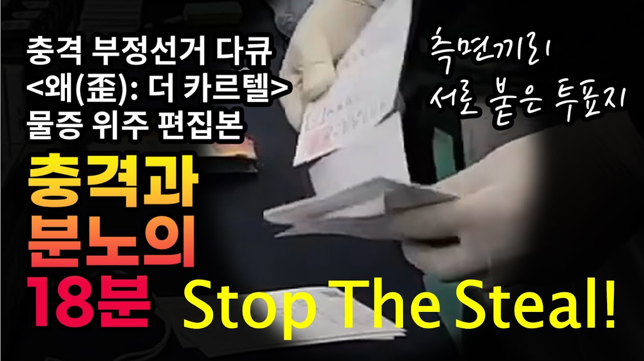 부정 선거 Stap The Steal