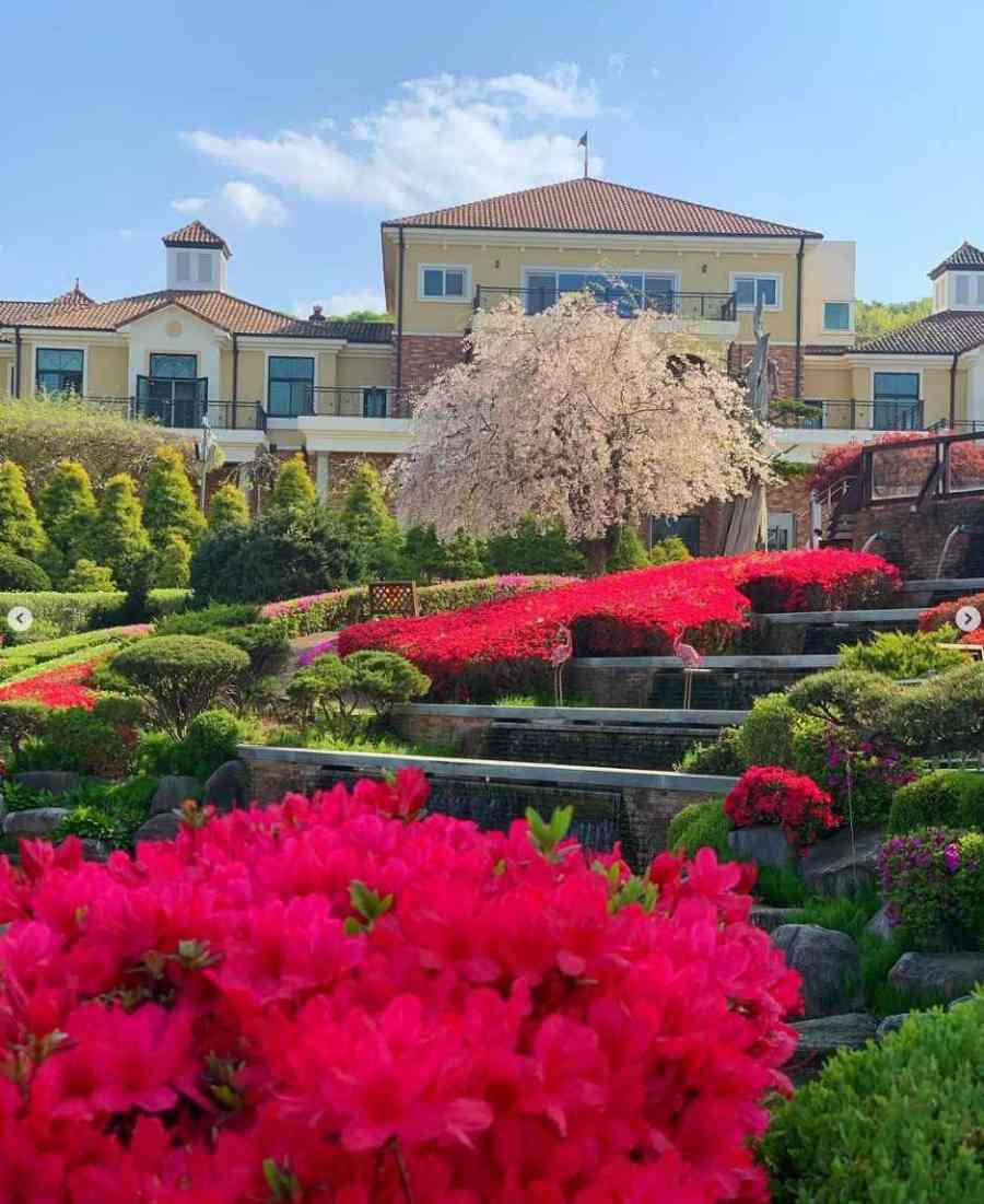 베어트리파크 철쭉제 봄과 철쭉