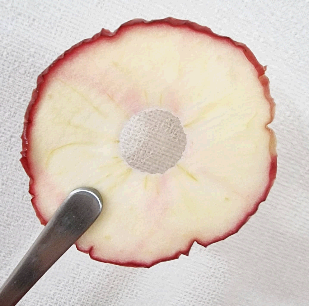 사과 정과의 효능과 비법, 사과 정과의 변천사