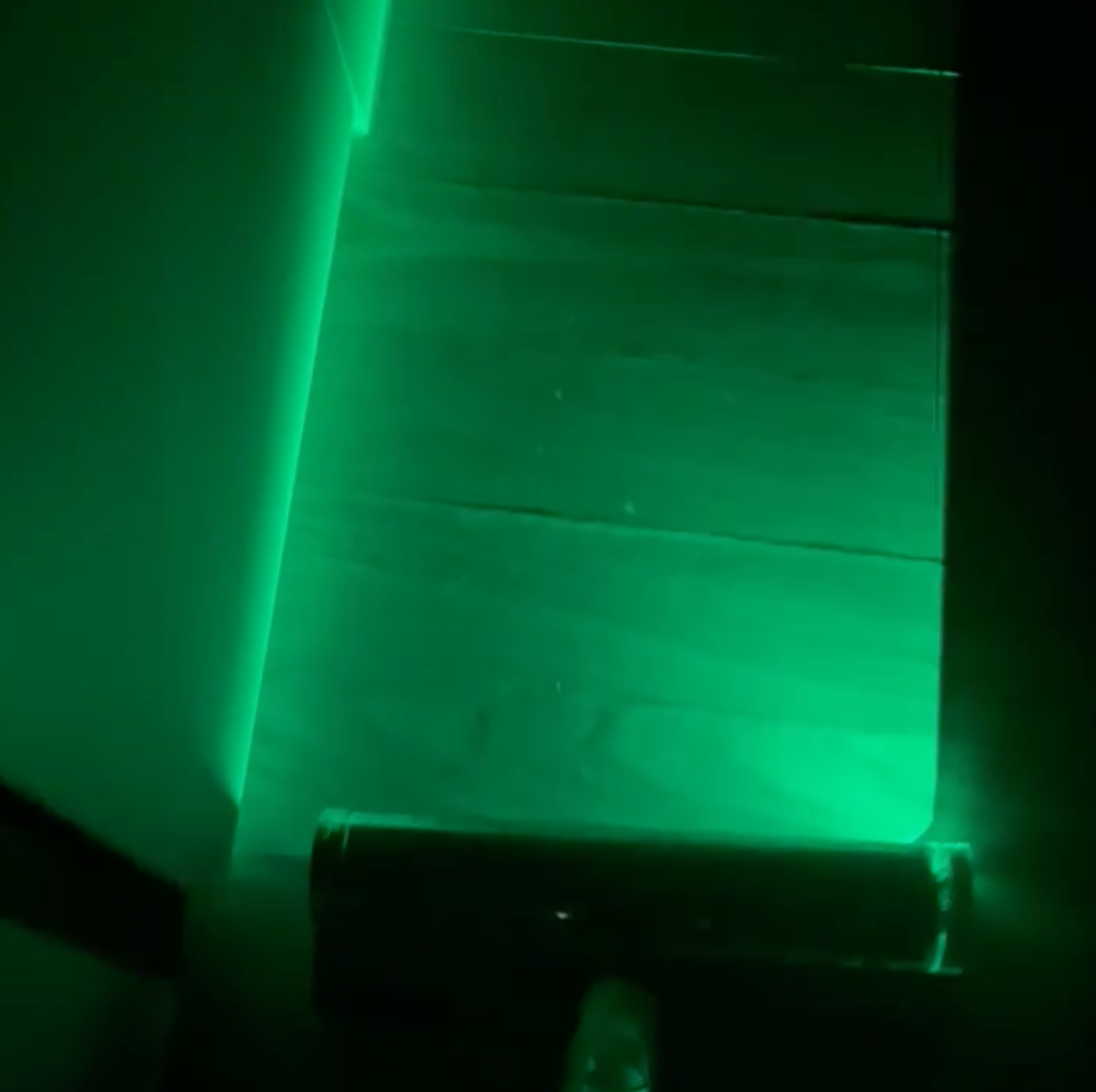 강아지털 청소기