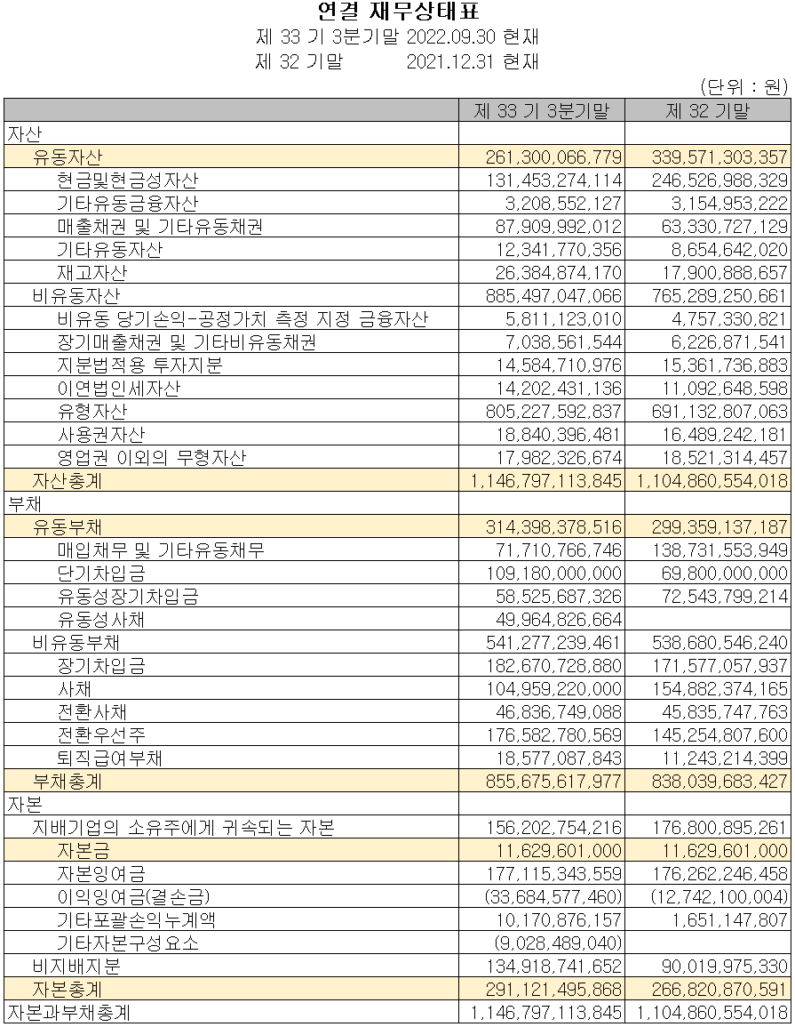 네패스 - 재무상태표
