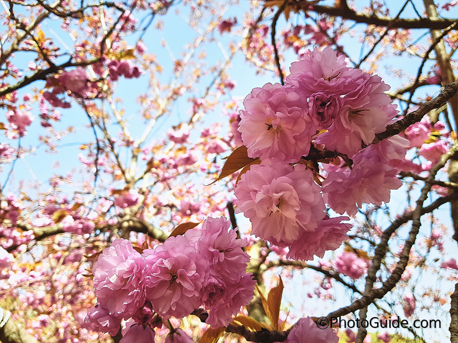 순천-선암사-포토가이드