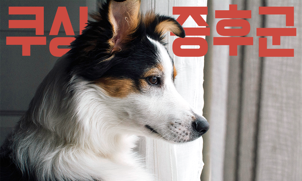 쿠싱증후군