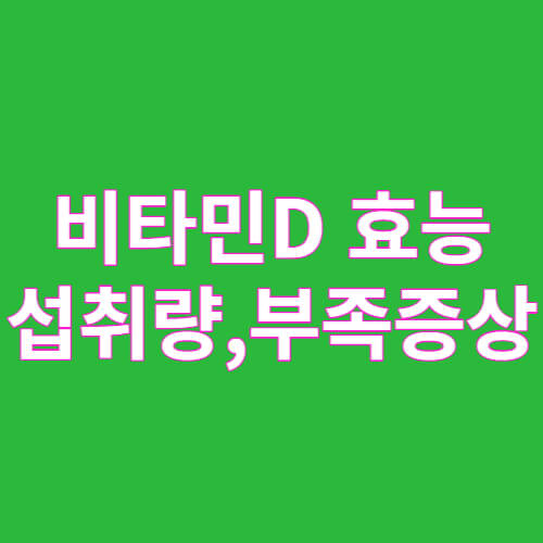 비타민D 효능,섭취량,부족증상 글자