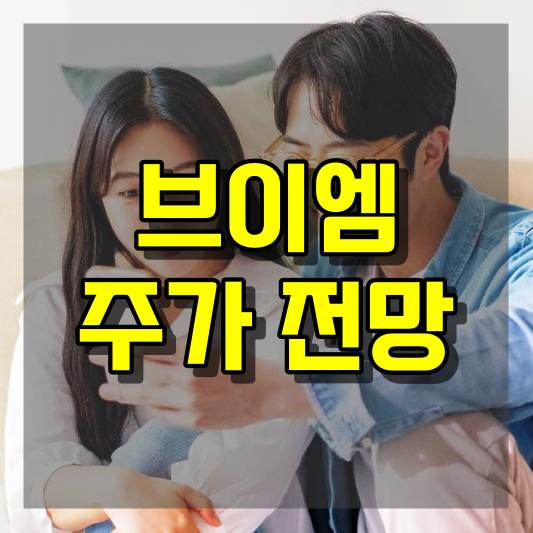 브이엠 주가 전망