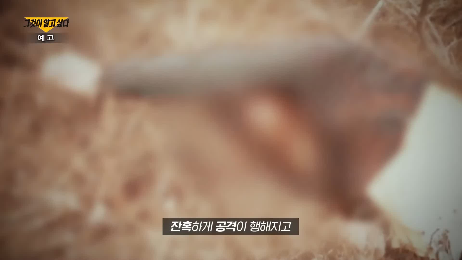 그알 그것이알고싶다 잔혹하게 목이 잘려 살해 당한 후 유기 파주 택시기사 살인 사건 범인의 시그니처 매듭과 프로파일링 1322회