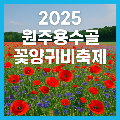 원주 용수골꽃양귀비 축제