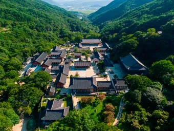 구례 가볼만한곳 베스트10 장터 현지인 맛집_38