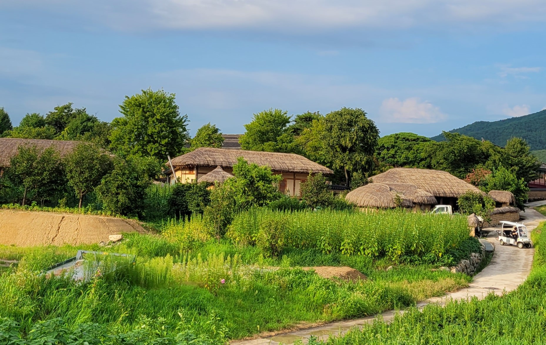 농촌 체험 마을 창업 및 운영 방법