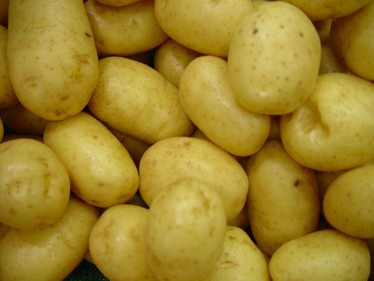 감자, 맛있고 영양가도 많아요