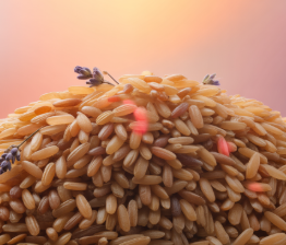 멜라토닌 많은 음식