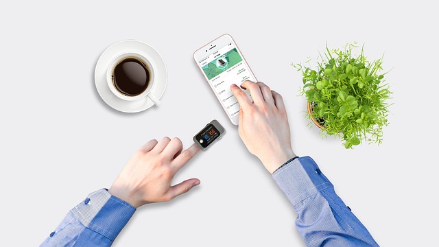 2025년 건강보험료 조정신청, 대상, 서류