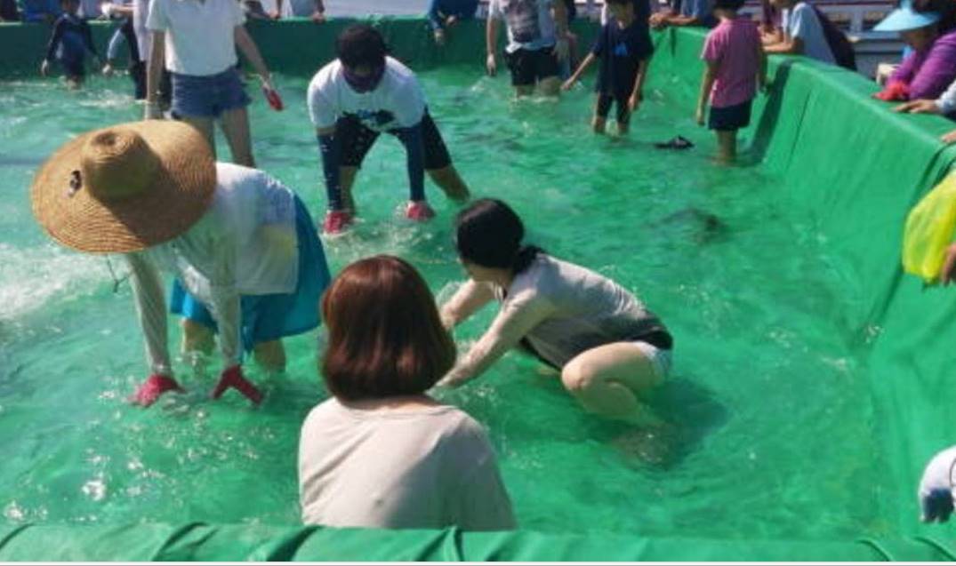 은빛바다 체험행사