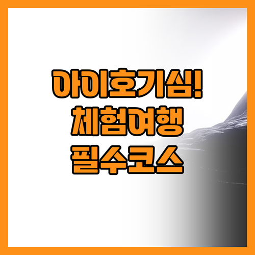 아이의 호기심을 깨우는 체험 중심 가..