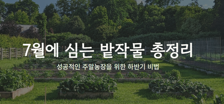7월에 심는 밭작물